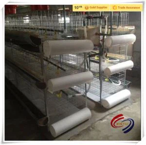 Bande transporteuse PP du fumier de poulet